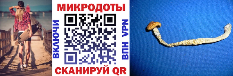 Купить  Костерёво  Псилоцибиновые грибы прущие грибы 